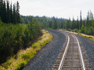 Alaskan railroad tracks between forests of spruce trees