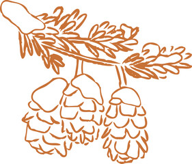 Pine Cones and Twig Hand Drawn Illustration