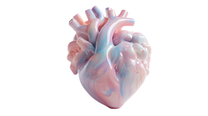 3d rendering of a human heart model on transparent background