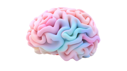 Colorful brain on transparent background. 3D rendering.