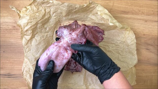 Black-gloved hands hold raw, unpeeled seafood squid over crumpled packing paper, then put them back in place. The concept of fish shops, recipes with squid, seafood dishes. High quality 4k footage
