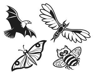 Eagle, moth, butterfly, and bee illustration