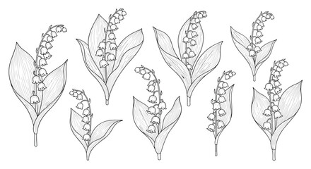 A delicate pattern of lily of the valley flowers.