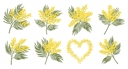 A collection of illustrations of yellow mimosa flowers and a heart shape.