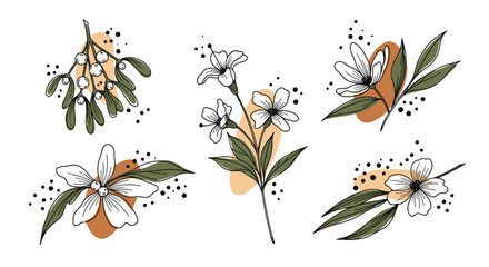 Abstract botanical illustration with minimalist floral elements.