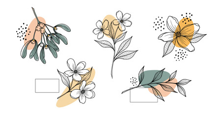 Abstract floral line art with muted watercolor splashes.