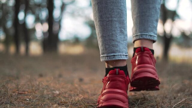 Walking on forest trail with red sneaker and jean leg visible stepping across dry pine floor with foot close to ground nature detail shoe tread leaving shallow mark on leaf litter under tree
