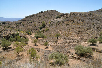 Dry rocky hills with sparse vegetation and dirt trail under clear blue sky