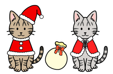 クリスマスコスチュームの猫・ネコ・ねこ
