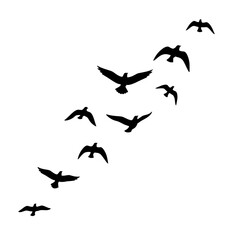 Birds in Flight Silhouettes Against the Sky