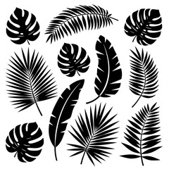 Tropical Leaves Silhouette Collection