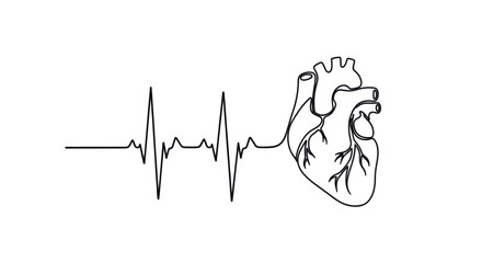 Human heart with ECG line symbolizing cardiology, healthcare, and World Heart Day awareness. Line art vector illustration, isolated on a transparent background