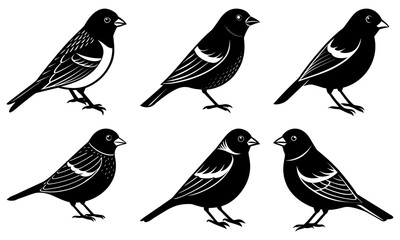 Fototapeta premium Six black and white stylized birds perched in various poses with detailed feather patterns and small beaks