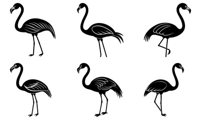Fototapeta premium Silhouette illustration of six flamingoes in various poses on a white background in a vector format