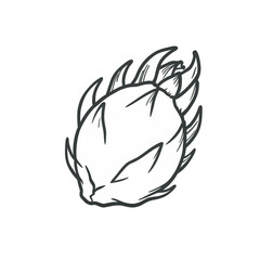 Dragon fruit vector icon, elegant curved shape with leaf edge