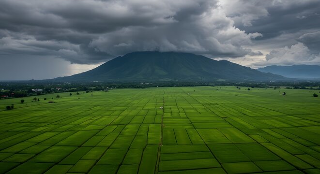 Vast Green Rice Paddies Stretch Towards a Majestic Mountain Under Dramatic Stormy Skies