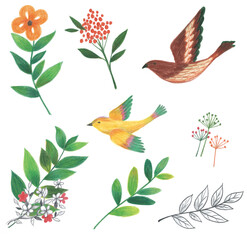 새와 꽃, 나뭇잎을 색연필 손그림으로 그린 일러스트