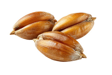 Close-up of three whole wheat kernels.  Light brown, oval-shaped grains with a slightly rough texture.  Natural, healthy food