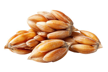 Close-up of three wheat heads, a cluster of golden-tan grains tightly packed together, showing the intricate details of the seed-bearing structure