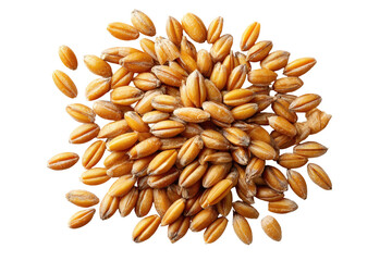 Close-up of many whole wheat kernels.  A cluster of light golden-tan wheat grains fills the image