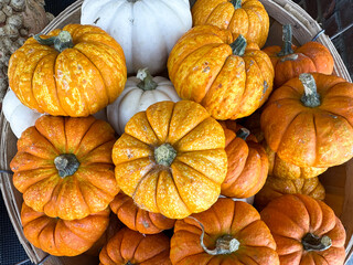 Colorful display of pumpkins in a basket ready for autumn festivities and seasonal decor