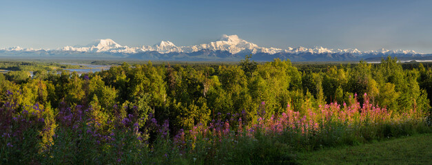 Panoramic view of Denali Mt McKinley at sunrise across the Susitna River and forest