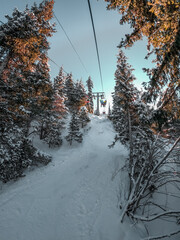 Low angle view of a chairlift ascending a snow-covered slope surrounded by tall, snow-dusted pine trees