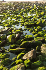 Wave foam over shallow rocky seabed