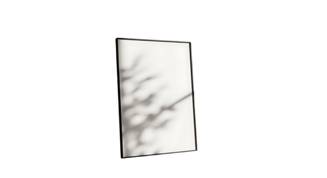 Minimalist rectangular mirror with a sleek black frame reflecting delicate tree branches, creating a serene and modern aesthetic isolated on transparent background