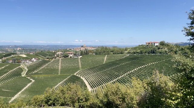 Panoramic view of Serralunga d'Alba and its surrounding vineyards, Piedmont, Italy.