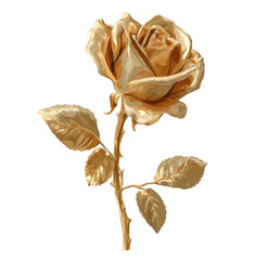 Golden rose, detailed illustration