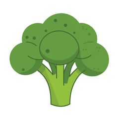 Fresh Green Broccoli Vector Illustration for Healthy Eating and Nutrition Graphics