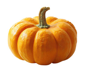 Close-up of a small, smooth-skinned, orange pumpkin