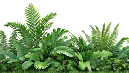 Lush tropical foliage border (1)