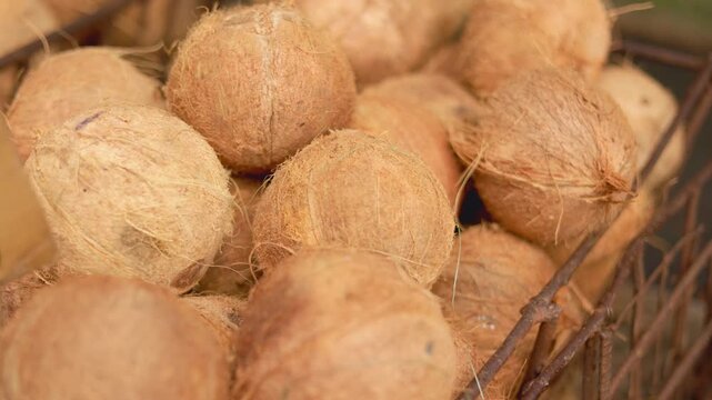 Closeup of coconuts in basket, detailed shot showcasing coconuts stored in metal basket illuminated warmly, an intricate closeup videograph capturing coconuts resting in metal basket bathed in warm