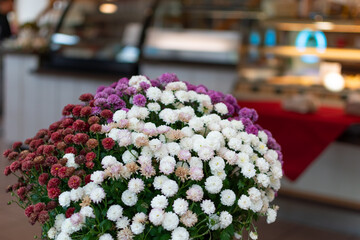 Vibrant, large bouquet of white, pink, and deep red chrysanthemum flowers in the foreground, with the blurred interior of a bakery or cafe visible in the background