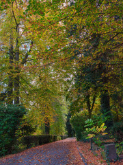 Wunderschöner Herbst im Park, Wege am Berg