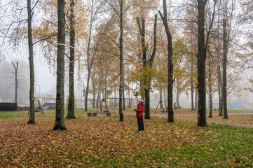 Autumn park in the evening fog.