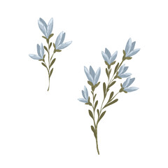 Set of blue and green winter floral branches isolated on white. Hand drawn vector botanical illustration.