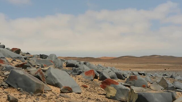 red lichens on stones in fog zone of Namib desert 010