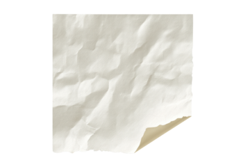 A crumpled, off-white square of paper with a curled corner