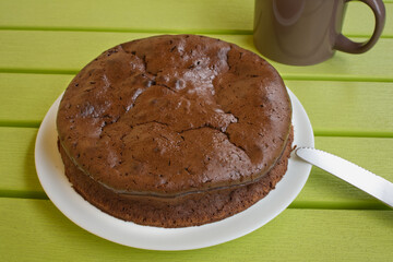 Chocolate sponge cake on green table