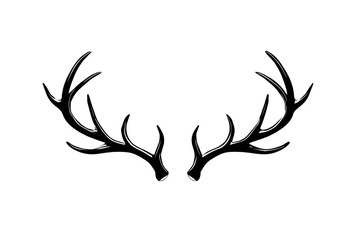 Elegant, symmetrical stag antlers against a black backdrop.  Delicate, outlined antler tines adorned with subtle, glittering accents