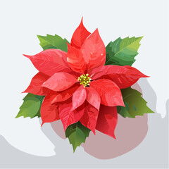 Roter Weihnachtsstern in Aquarell-Optik