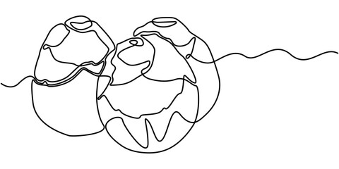 sugar palm continuous one line drawing, Sugar palm Fruit outline vector isolated on white background. 