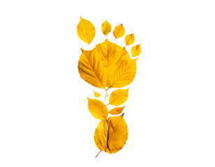 Golden autumn leaves form a footprint shape on a black background