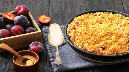 Crumb topped Plum Pie in a baking dish