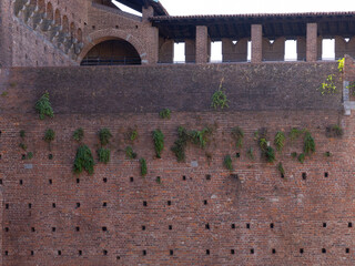 a brick brown wall with grass growing inside the castle