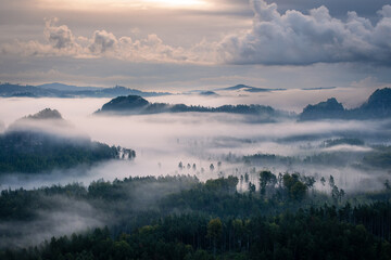 Saxon Switzerland Nebel © David