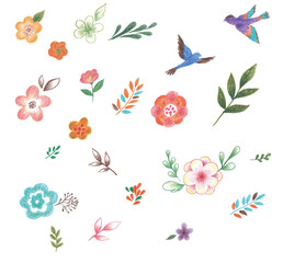 새와 꽃, 나뭇잎을 색연필 손그림으로 그린 일러스트